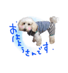 どんな時も犬と暮らす♪（個別スタンプ：18）