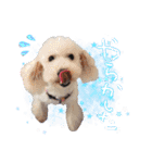 どんな時も犬と暮らす♪（個別スタンプ：20）