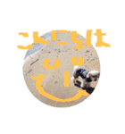 どんな時も犬と暮らす♪（個別スタンプ：23）