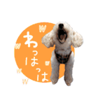 どんな時も犬と暮らす♪（個別スタンプ：25）