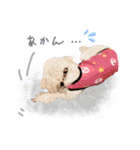 どんな時も犬と暮らす♪（個別スタンプ：32）