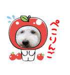 どんな時も犬と暮らす♪（個別スタンプ：39）