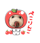 どんな時も犬と暮らす♪（個別スタンプ：40）