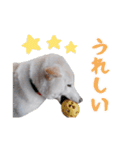 チロルルのスタンプ④（個別スタンプ：9）
