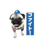 パグのししのすけ3（個別スタンプ：6）