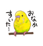 可愛いセキセイインコのピーちゃん（個別スタンプ：4）