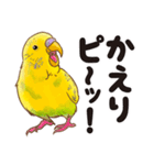 可愛いセキセイインコのピーちゃん（個別スタンプ：13）