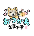 まるぷー・ココア（日常・あいさつ）part1（個別スタンプ：6）