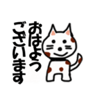 ねこ丸癒しの言葉（個別スタンプ：1）