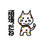 ねこ丸癒しの言葉（個別スタンプ：11）