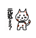 ねこ丸癒しの言葉（個別スタンプ：13）