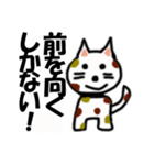 ねこ丸癒しの言葉（個別スタンプ：17）