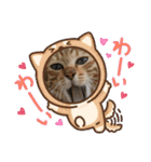 家のにゃんず❤️可愛い猫（個別スタンプ：10）