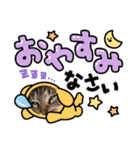 家のにゃんず❤️可愛い猫（個別スタンプ：18）
