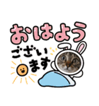 家のにゃんず❤️可愛い猫（個別スタンプ：19）