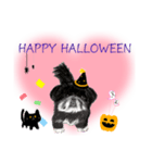 わんにゃんハッピーハロウィンスタンプ（個別スタンプ：1）