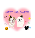 わんにゃんハッピーハロウィンスタンプ（個別スタンプ：2）