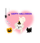 わんにゃんハッピーハロウィンスタンプ（個別スタンプ：6）