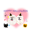 わんにゃんハッピーハロウィンスタンプ（個別スタンプ：8）