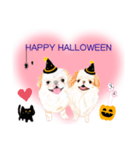 わんにゃんハッピーハロウィンスタンプ（個別スタンプ：26）