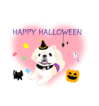 わんにゃんハッピーハロウィンスタンプ（個別スタンプ：34）