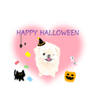 わんにゃんハッピーハロウィンスタンプ（個別スタンプ：40）