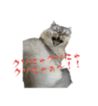 愛猫リリたん（個別スタンプ：2）