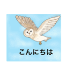 大好きフクロウ（個別スタンプ：11）