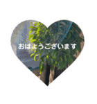 シンプルな感じスタンプ（個別スタンプ：1）