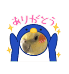 オカメインコ 小梅ちゃん 四季（個別スタンプ：10）