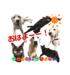 じじ子とルカくんのすたんぷ（個別スタンプ：1）