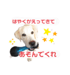 じじ子とルカくんのすたんぷ（個別スタンプ：2）
