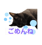 じじ子とルカくんのすたんぷ（個別スタンプ：4）