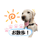 じじ子とルカくんのすたんぷ（個別スタンプ：6）
