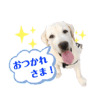 じじ子とルカくんのすたんぷ（個別スタンプ：7）