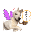 じじ子とルカくんのすたんぷ（個別スタンプ：12）
