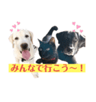 じじ子とルカくんのすたんぷ（個別スタンプ：24）