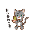 うちのこ猫スタンプ01 サバトラ（個別スタンプ：29）