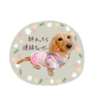 Aoto＆Yuina＆Momo ②（個別スタンプ：14）