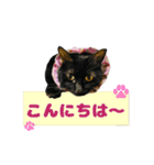 可愛い M cats その3（個別スタンプ：3）