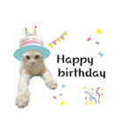 ねこぉぉぉ3（個別スタンプ：12）