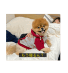 kota(字幕ver.)（個別スタンプ：3）