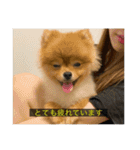 kota(字幕ver.)（個別スタンプ：7）