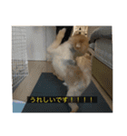 kota(字幕ver.)（個別スタンプ：9）