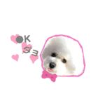 mybabyx4（個別スタンプ：9）