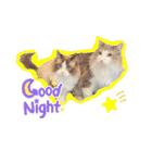 mybabyx4（個別スタンプ：10）