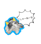 mybabyx4（個別スタンプ：11）
