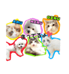 mybabyx4（個別スタンプ：14）