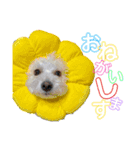 mybabyx4（個別スタンプ：21）