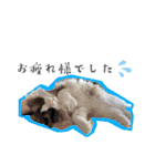 mybabyx4（個別スタンプ：23）